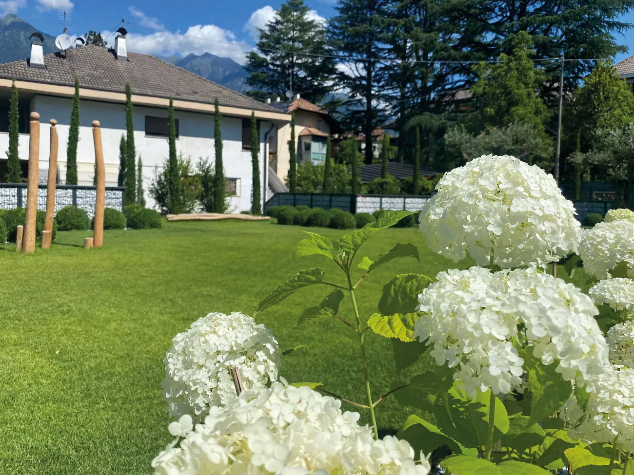 Gartenbau_Reider_Privatgarten_Hortensien_Eppan_Bozen