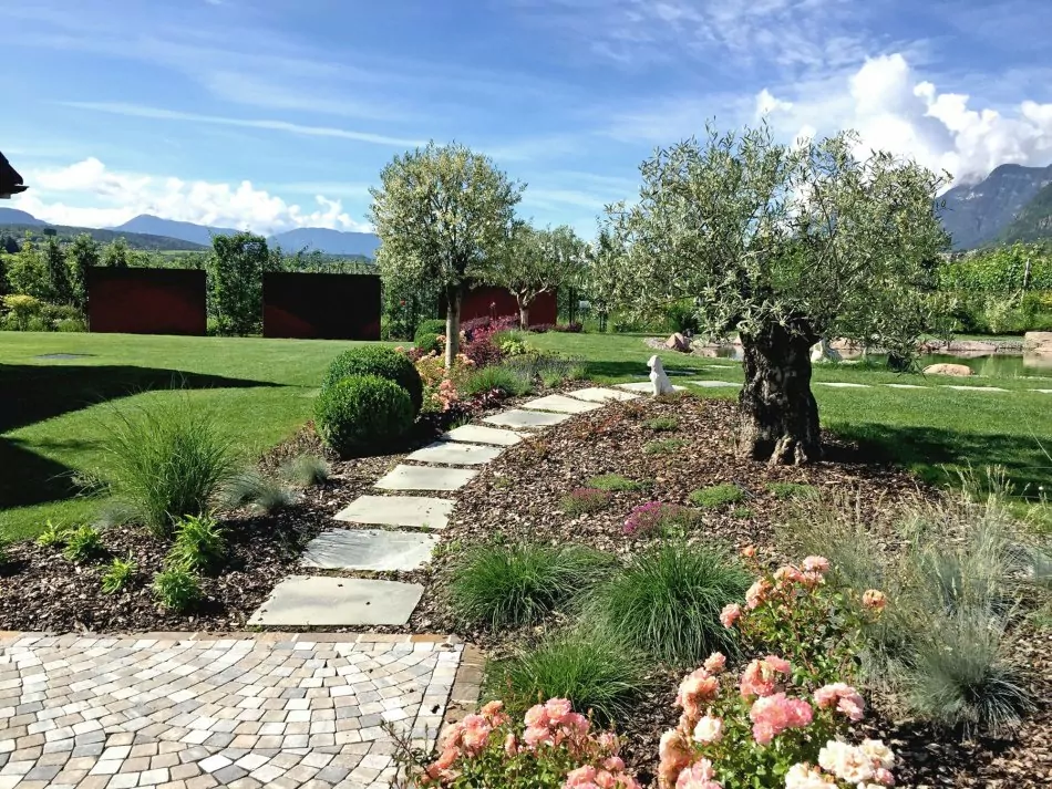 Gartenbau Südtirol gartengestaltung-baumpflege-und-gartenpflege Olivenbaum kaufen Südtirol Reider Bozen