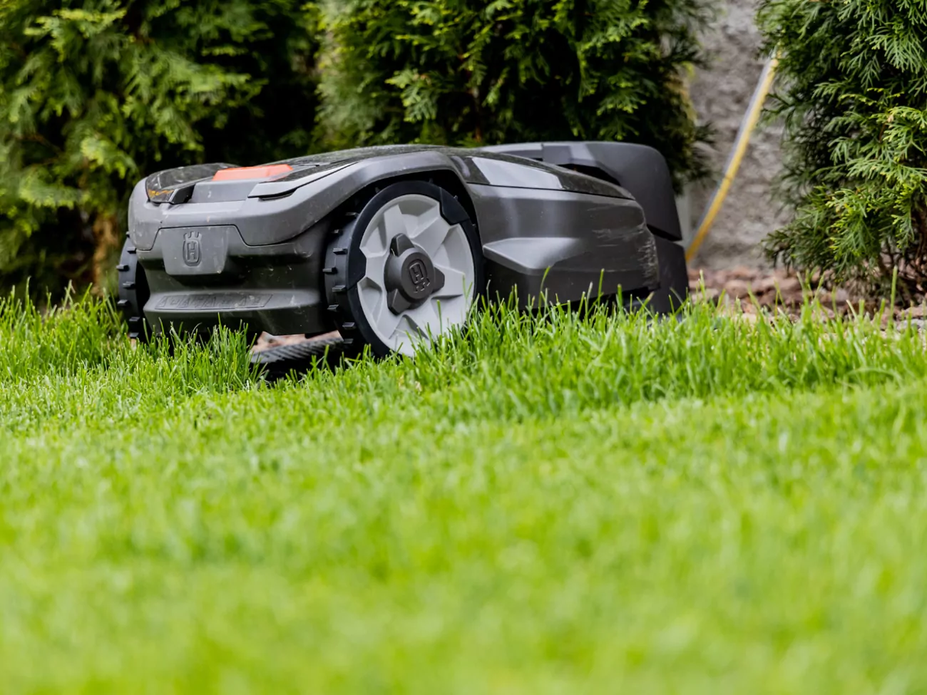 Mähroboter_Rasenmäher_Südtirol_tagliaerbe_Bolzano-Reider-Bozen-Rasen-Rollrasen