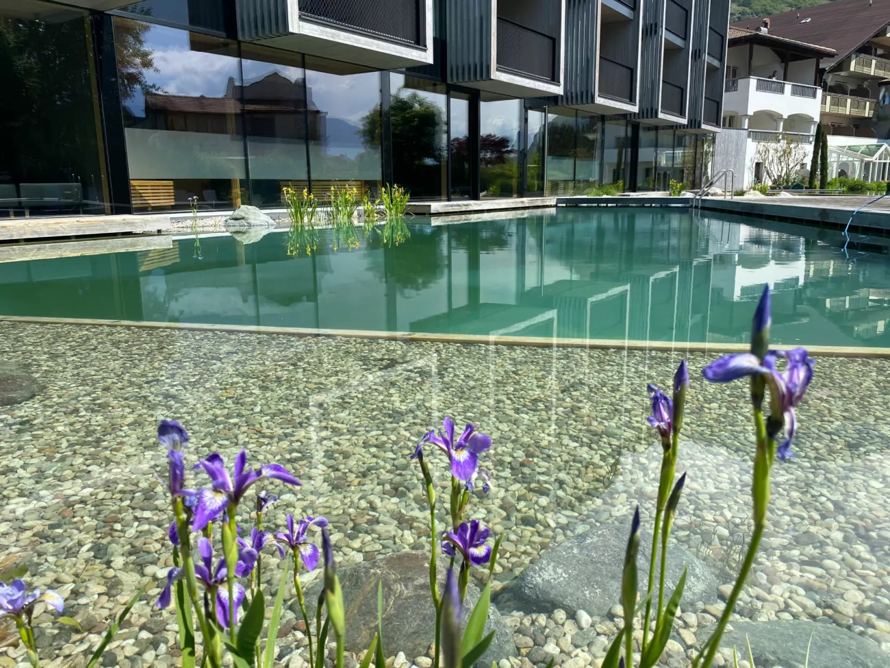 Garten Schwimmteich_Biopool_Naturpool_Südtirol_Garten_Gartenbau_Reider Gartengestaltung Bozen Meran