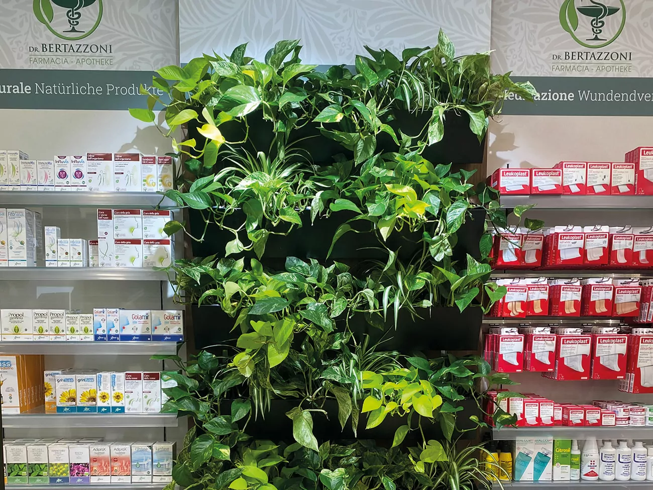 Wandbegrünung_Grüne-Wand_vertikale-Pflanzenwand-Südtirol Bürobegrünung Büropflanzen parete verde Bolzano piante fiori Reider giardinieria vivaio negozio di piante bolzano merano