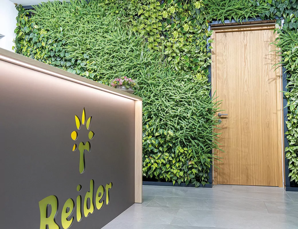 Wandbegrünung_Raumbegrünung_Büro_Bozen_Reider_Grüne Wand_vertikale Wand_Büropflanzen_Raumklima