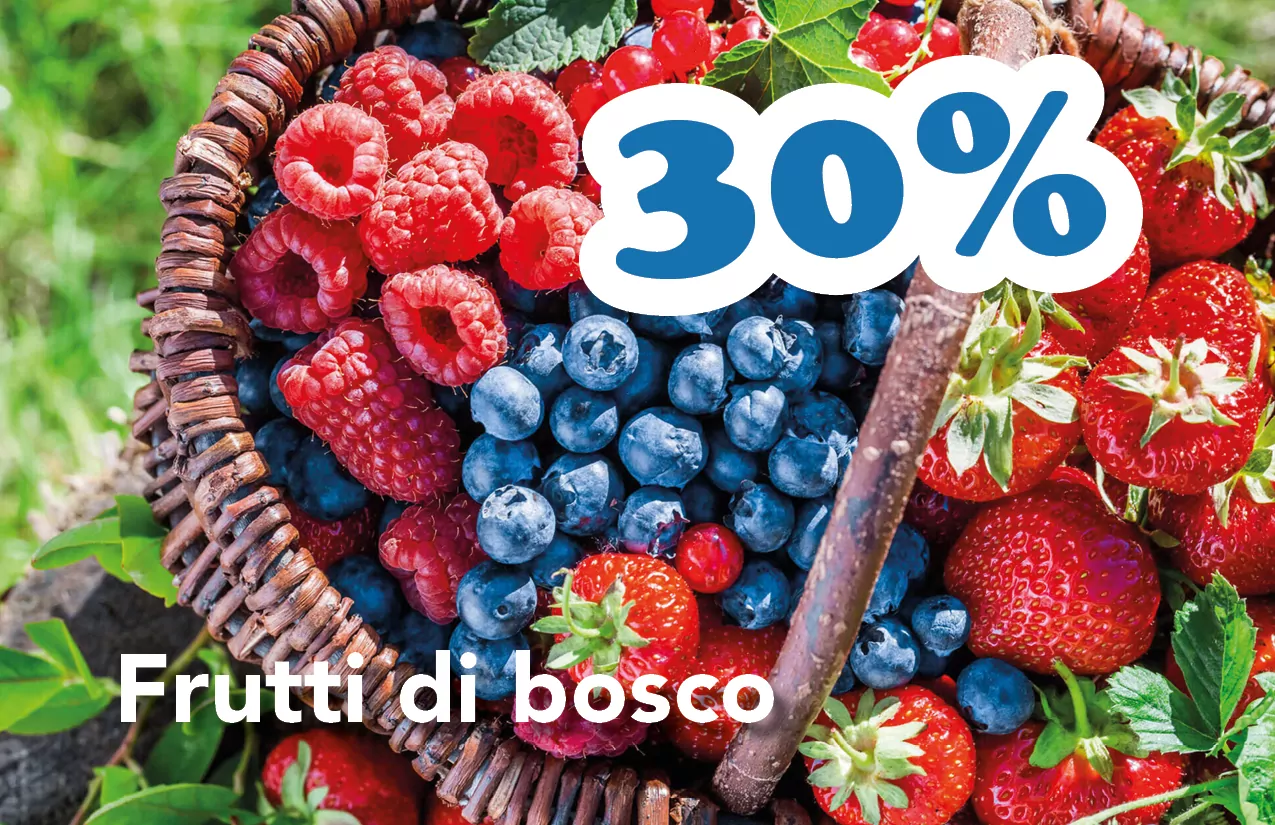 Ausverkauf Bozen Südtirol Gärtnerei Pflanzen Blumen Blumengeschäft Blumenladen Bozen Meran saldi bolzano vivaio piante giardiniere fioraio fioreria bolzano merano beeren frutti di bosco
